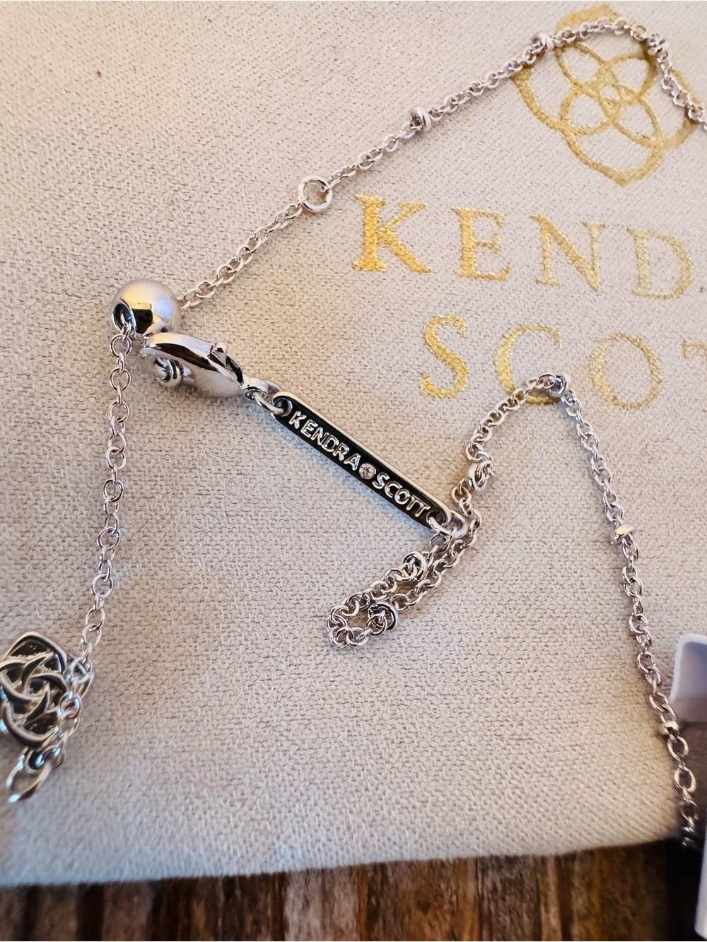 Kendra Scott White Mother-of-Pearl Ghost Reversible Necklace Silver - Picture 4 of 9
